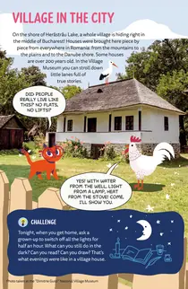 The Village Museum: Pix and a rooster in front of an old country house