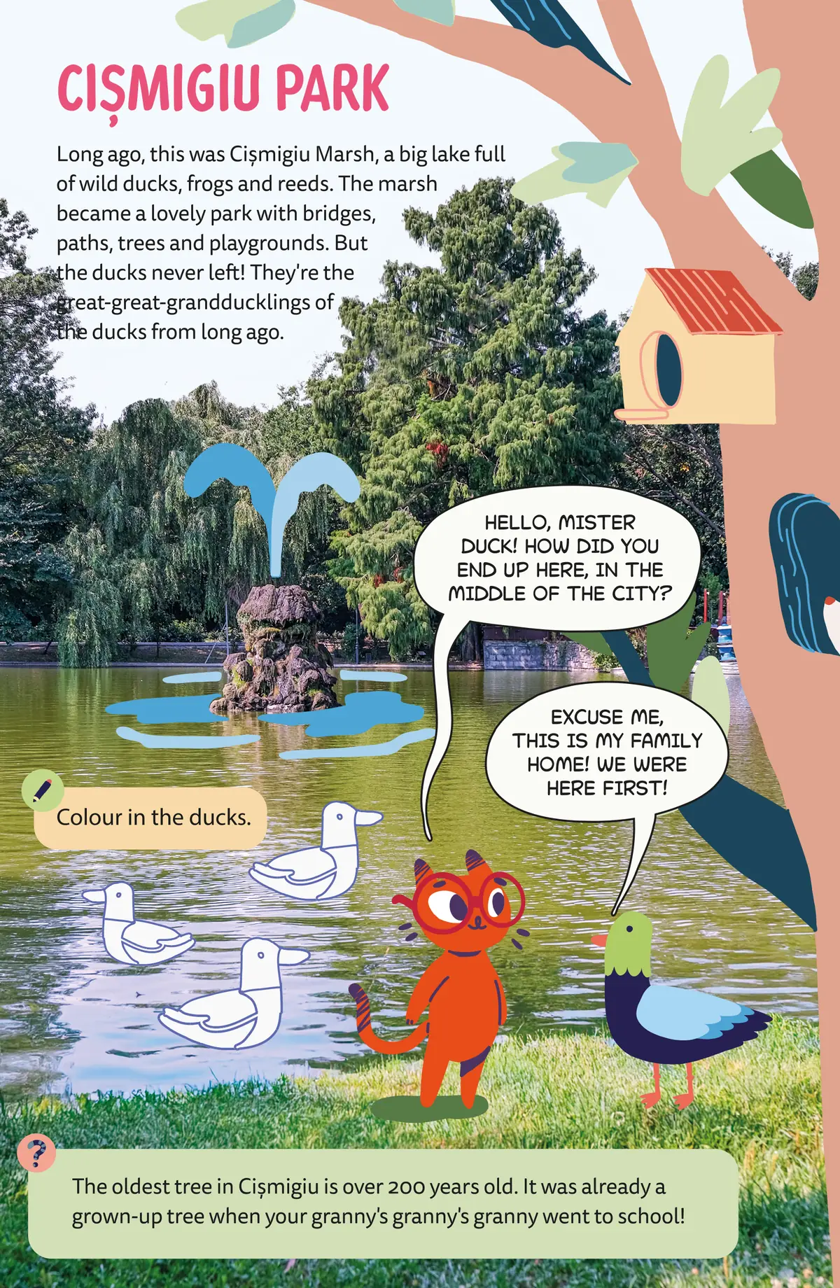 Cișmigiu Park: Pix chats with a drake by the lake, next to ducks to colour