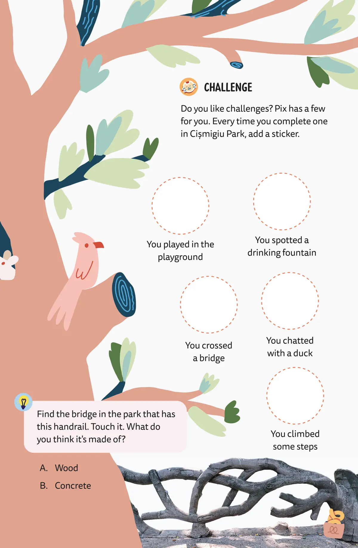 The Cișmigiu challenges, with circles for stickers, and a question about a bridge railing