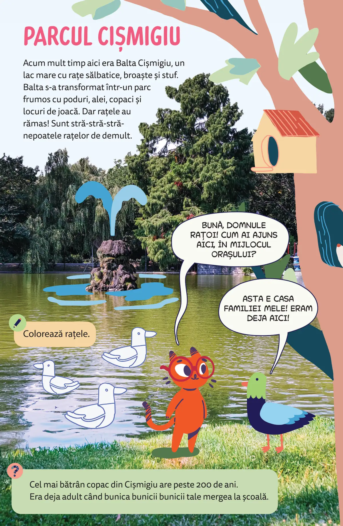 Parcul Cișmigiu: Pix stă de vorbă cu un rățoi pe malul lacului, lângă rațe de colorat